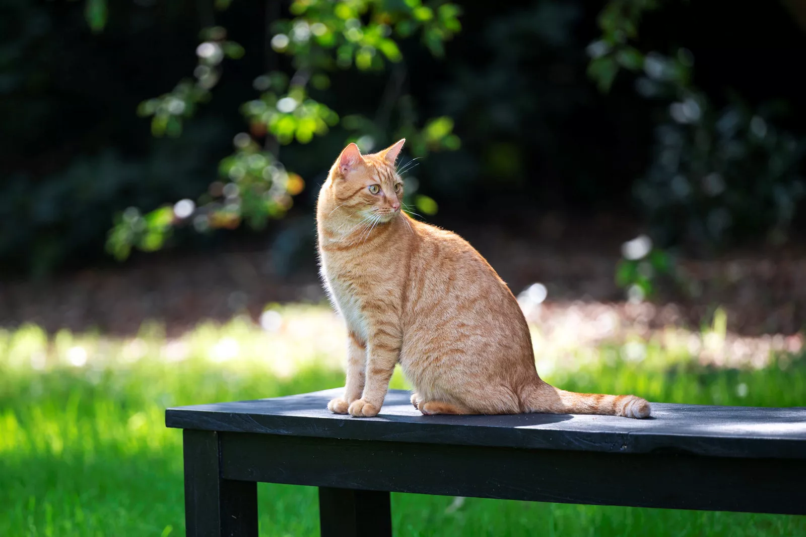 Yell & Yonkers in de huiskamer