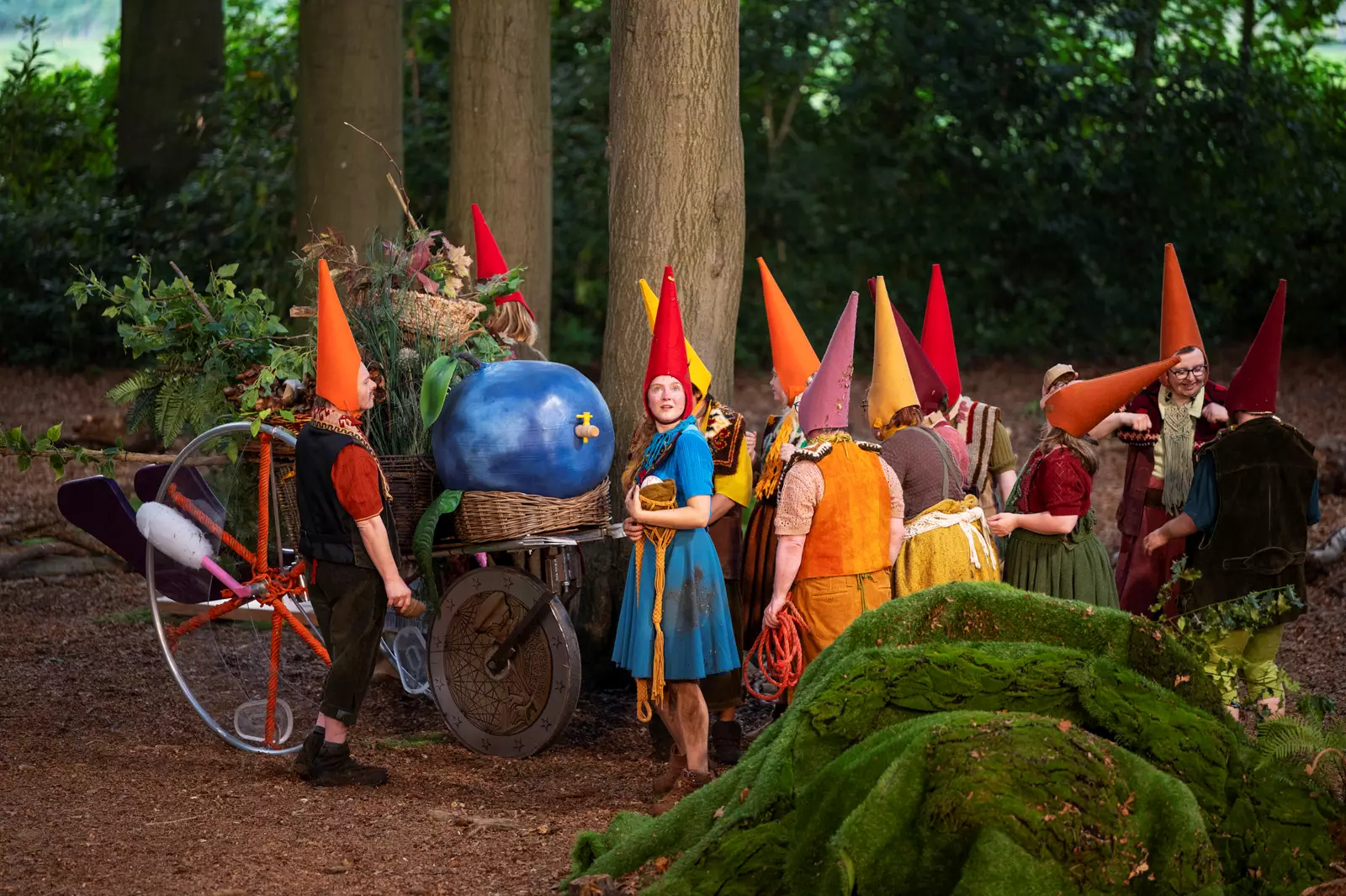 Het Houten Huis - Voor ze verdwijnen