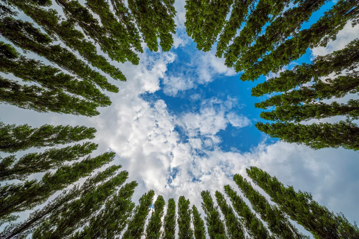 Theaterfestival Boulevard 2021 in het Zuiderpark