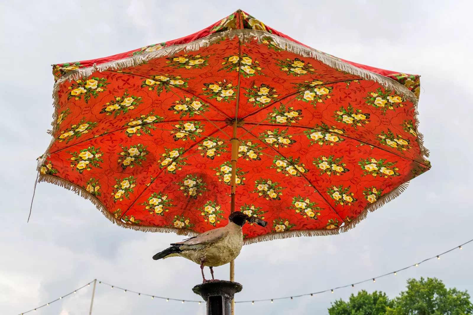 Theaterfestival Boulevard 2021 in het Zuiderpark
