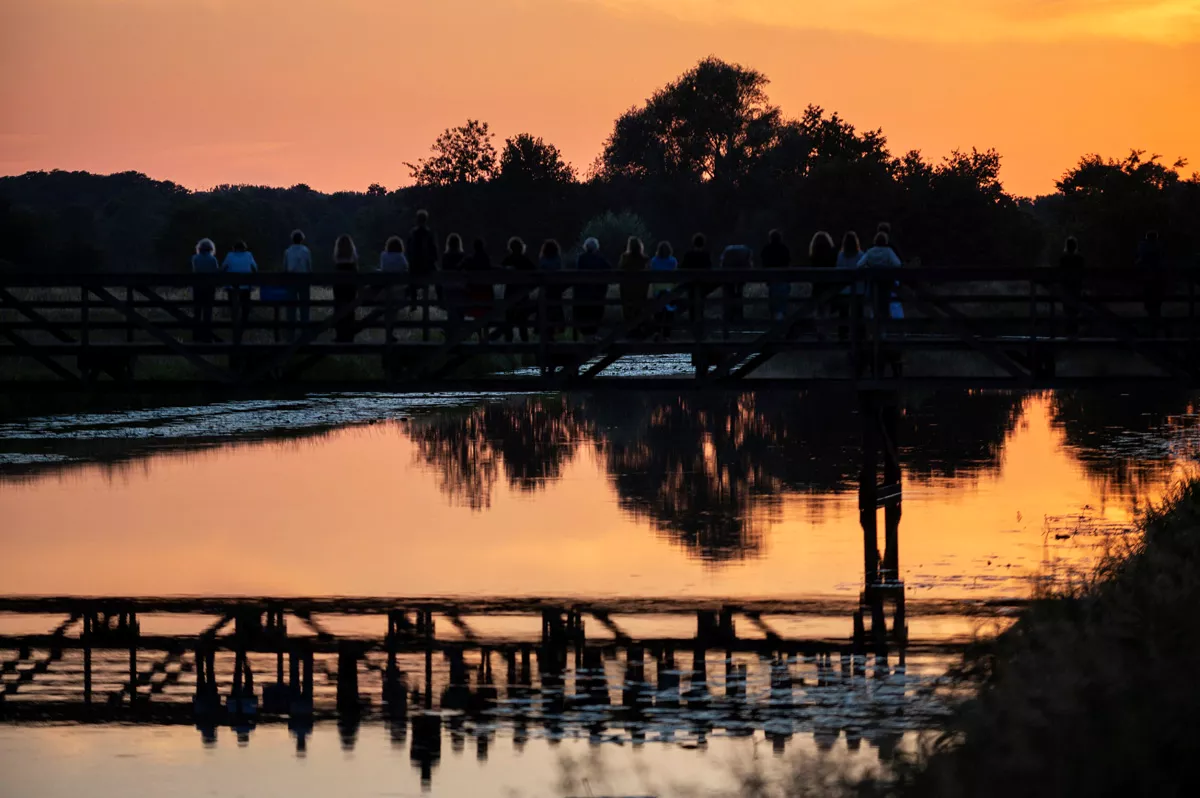 Midzomerdans 2020 bij Yell & Yonkers in de tuin
